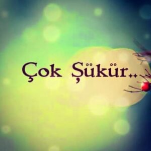 Çaresizliğin dibinde olsa bile
"Rabbin" seninleyse "ÇOK ŞÜKÜR" de…
– Yunus Bozyel