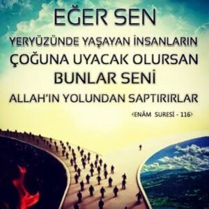En'âm, 116. Ayet Meali: Eğer yeryüzündekilerin çoğunluğuna uyarsan seni Allah yolundan saptırırlar.