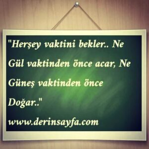 "Herşey vaktini bekler.. Ne Gül vaktinden önce acar, Ne
Güneş vaktinden önce Doğar.."