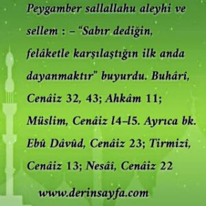 Sabır dediğin, felâketle karşılaştığın ilk anda dayanmaktır