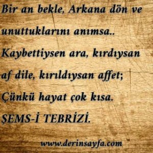 Bir an bekle, Arkana dön ve unuttuklarını anımsa..  Kaybettiysen ara, kırdıysan af dile, kırıldıysan affet; Çünkü hayat çok kısa.  ŞEMS