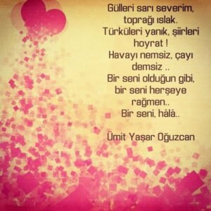 Gülleri sarı severim, toprağı ıslak.
Türküleri yanık, şiirleri hoyrat !

Ümit Yaşar Oğuzcan