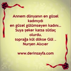 Annem dünyanın en güzel kadınıydı
en güzel gülümseyen kadını…
Nurşen Alıcıer