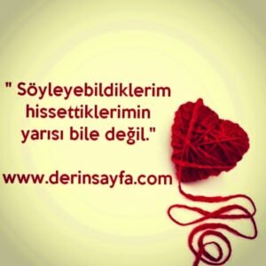 " Söyleyebildiklerim hissettiklerimin yarısı bile değil."