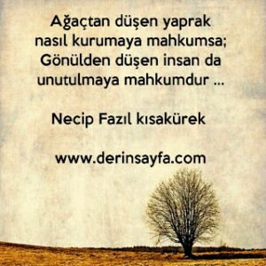 Ağaçtan düşen yaprak nasıl ‘kurumaya’ mahkumsa; Gönülden düşen insan da ‘unutulmaya’ mahkumdur.. (Necip Fazıl Kısakürek)