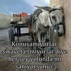 " Konuşamıyorlar, şikayet etmiyorlar diye her şey yolunda mı sanıyorsunuz?"