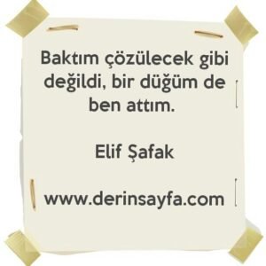Baktım çözülecek gibi değildi, bir düğüm de ben attım. – Elif Şafak