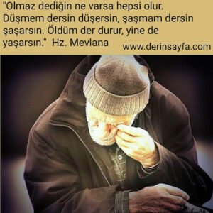 "Olmaz dediğin ne varsa hepsi olur. 
 Düşmem dersin düşersin, şaşmam dersin
 şaşarsın. Öldüm der durur, yine de
 yaşarsın."  Hz. Mevlana