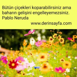 Bütün çiçekleri koparabilirsiniz ama baharın gelişini engelleyemezsiniz.
Pablo Neruda