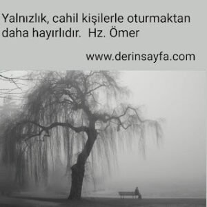 "Yalnızlık, cahil kişilerle oturmaktandaha iyidir."Hz. Ömer (r.a)