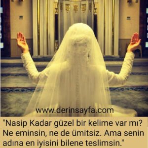 "Nasip Kadar güzel bir kelime var mı?
Ne eminsin, ne de ümitsiz.
Ama senin adına en iyisini bilene teslimsin."