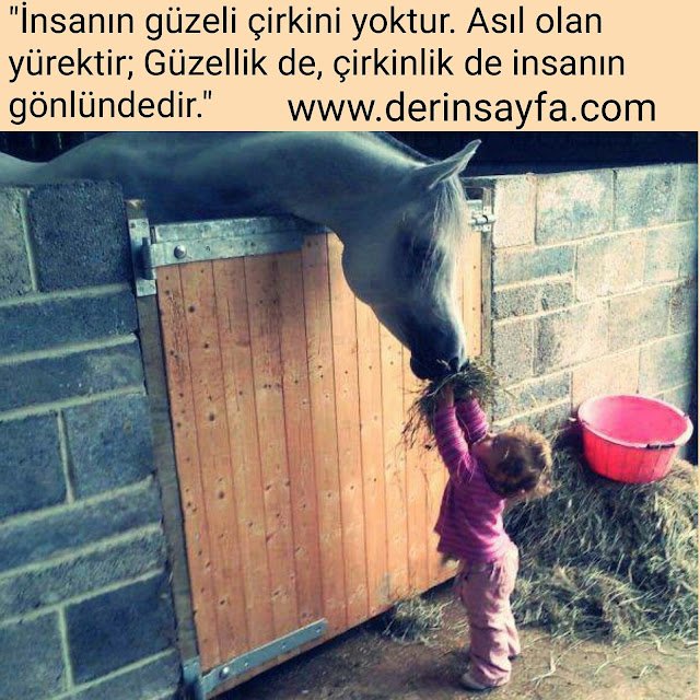 “İnsanın güzeli çirkini yoktur. Asıl olan yürektir; Güzellik de, çirkinlik de insanın gönlündedir.”