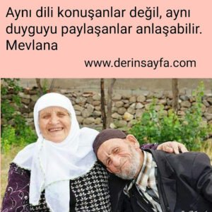 Aynı dili konuşanlar değil, aynı duyguyu paylaşanlar anlaşabilir. 
Mevlana