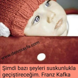 Şimdi bazı şeyleri suskunlukla geçiştireceğim. Franz Kafka