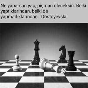 Ne yaparsan yap, pişman öleceksin. Belki yaptıklarından, belki de yapmadıklarından. Dostoyevski