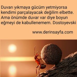Duvarı yıkmaya gücüm yetmiyorsa kendimi parçalayacak değilim elbette. Dostoyevski