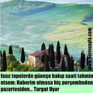 Issız tepelerde güneşe bakıp saati tahmin etsem;
Haberim olmasa hiç perşembeden, pazartesiden…
Turgut Uyar