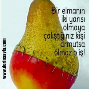 "Bir elmanın iki yarısı olmaya çalıştığınız kişi ; Armutsa olmaz o iş!"