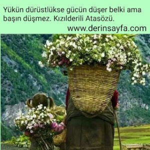 Yükün dürüstlükse gücün düşer belki amabaşın düşmez. Kızılderili Atasözü.