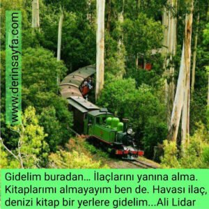 Gidelim buradan…
İlaçlarını yanına alma.
Kitaplarımı almayayım ben de.
Havası ilaç, denizi kitap bir yerlere gidelim…
Ali Lidar