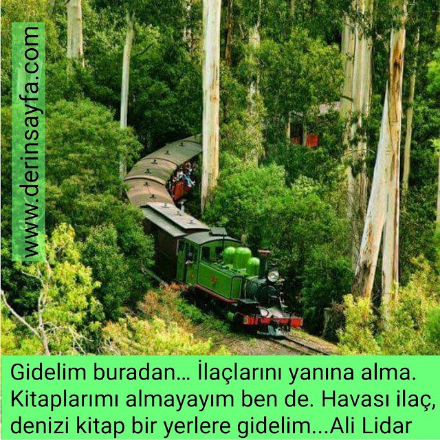 Gidelim buradan…
İlaçlarını yanına alma.
Kitaplarımı almayayım ben de.
Havası ilaç, denizi kitap bir yerlere gidelim…
Ali Lidar
