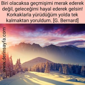 Korkaklarla yürüdüğüm yolda tek kalmaktan yoruldum. [G. Bernard]