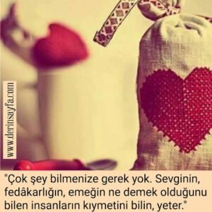 “Çok şey bilmenize gerek yok. Sevginin, fedâkarlığın, emeğin ne demek olduğunu bilen insanların kıymetini bilin, yeter.”