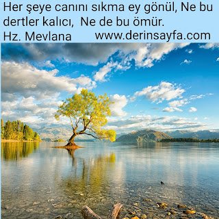 Her şeye canını sıkma ey gönül! Nebu dertler kalıcı