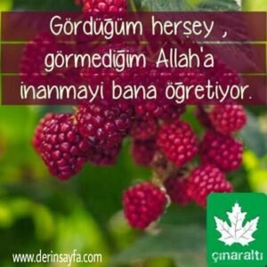 '' Gördüğüm herşey , görmediğim
Allah'a inanmayı bana öğretiyor. ''