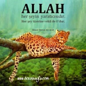 Zümer, 62. Ayet Meali: Allah, her şeyin yaratıcısıdır.
