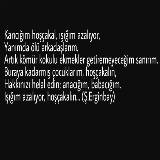 "Karıcığım hoşçakal, ışığım azalıyor,
Yanımda ölü arkadaşlarım."