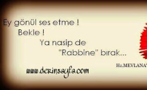 Ey gönül ses etme! Bekle! Ya nasip de, Rabbine bırak…  Mevlana Celaleddin