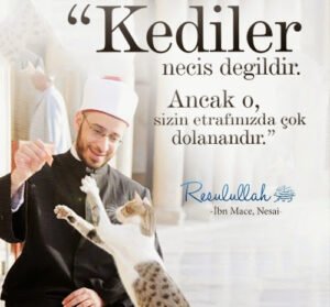 “Kediler necis/pis değildir. Ancak o, sizin etrafınızda çok dolanandır..” | Hadis