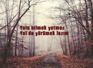 Yolu bilmek yetmez. Yolda yürümek lazım. Yüksel Aras