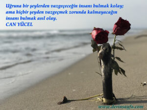 Uğruna bir şeylerden vazgeçeceğin insanı bulmak kolay; ama hiçbir şeyden vazgeçmek zorunda kalmayacağın insanı bulmak asıl olay. Can Yücel