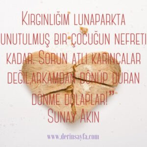Kırgınlığım lunaparkta unutulmuş bir çocuğun nefreti kadar. Sorun atlı karıncalar değil,arkamdan dönüp duran dönme dolaplar! Sunay Akın