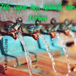 Tatlı suyun başı, kalabalık olur. Mevlana