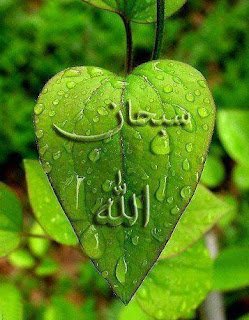 Allah için var olamayacaksak,  var olmanın hiçbir anlamı yoktur. . .