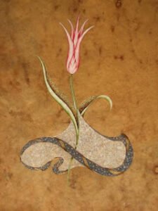 Ben susuyorum… Benim sırlarımı sana gönlüm söyleyecek !