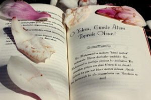 Belâ-yı mâsivâya mübtelâyım yâ Rasûlallah!