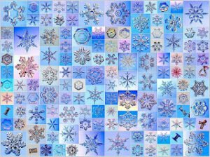 Allah yaratmada hiçbir ortağı olmayan, sonsuz güç sahibi olan ve her şeyi örneksiz olarak yaratandır…