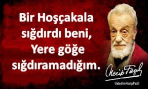 Bir hoşçakala sığdırdı beni, yere göğe sığdıramadığım.