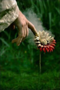 Eğer çekemezsen gülün nazını ne dikene dokun ne gülü incit,sahrada mecnun değilsen,ne leyla’yı çağır,ne çölü incit…  Aşık Hüdai