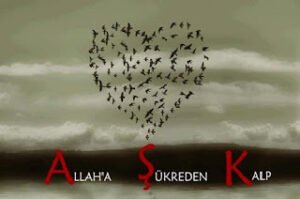 Ey Gönül. Hakk’a Aşık Olmayanın, Aşk’a Hakkı Olur Mu?  Hz.Mevlana