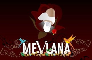 Bir de adama bakarım adam mı diye!  Mevlana