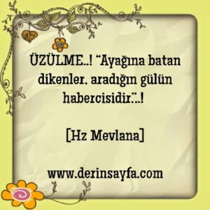 ÜZÜLME..! “Ayağına batan dikenler, aradığın gülün habercisidir.”..! [Hz Mevlana]