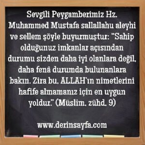 Sahip olduğunuz imkanlar açısından durumu sizden daha iyi olanlara değil, daha fenâ durumda bulunanlara bakın