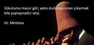 Sükûtumu mazur gör; adını dudaklarımdan çıkarmak bile paylaşmaktır seni..!