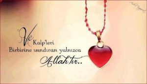 Ve Kalp’ leri birbirine ısındıran yalnızca ALLAH‘ tır..  Enfal Suresi