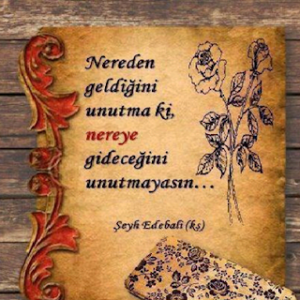 Nereden geldiğini unutma ki, nereye gideceğini unutmayasın